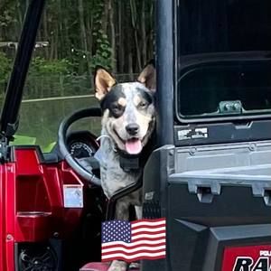 Meet your Posher, Johnny